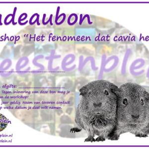 Cadeaubon Workshop "Het fenomeen dat cavia heet"