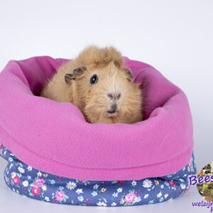 Cavia-knuffelzak