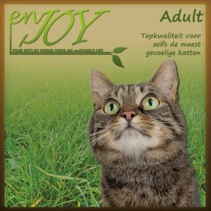 enJOYed by Pippa&Koda Cat Adult