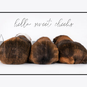 Digitale fotokaart "Hello sweet cheeks"