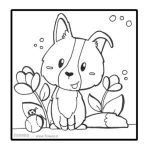 Colouring page Border Collie