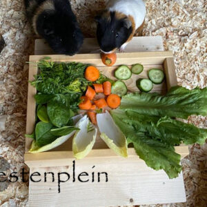 Guinea-picnic table