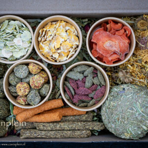 Snackbox - M