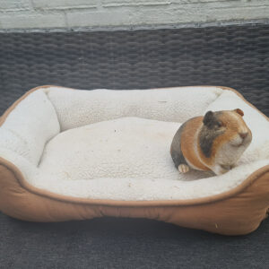 Grote rechthoekige mand (tweedekans)